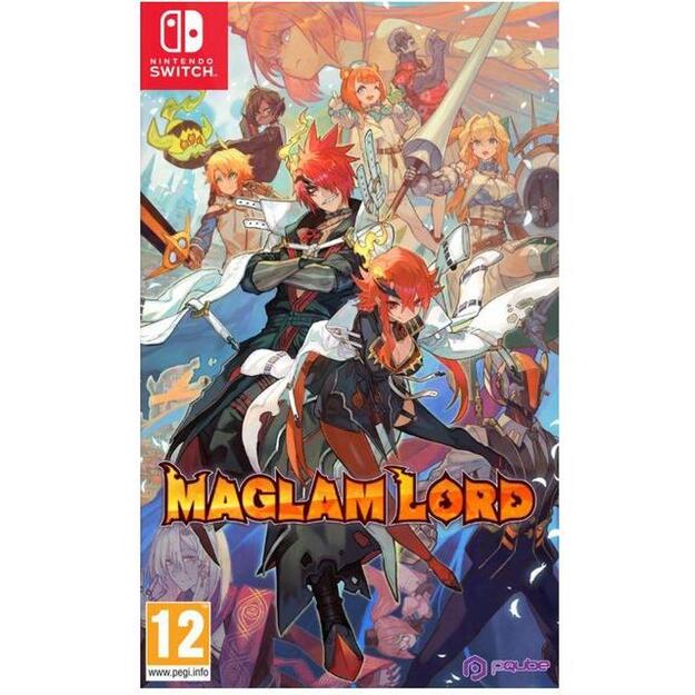 Maglam Lord
      
        - Nintendo Switch