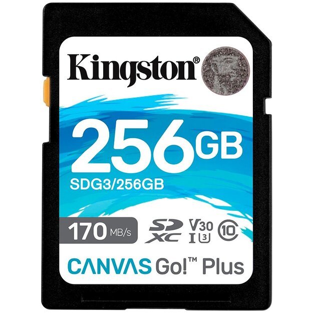 Memory Flash cards KINGSTON SDG3/256GB