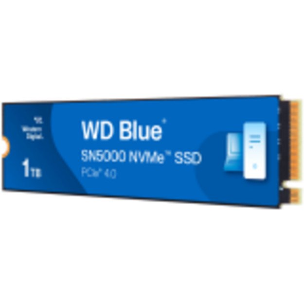 SSD Client WESTERN DIGITAL WDS100T4B0E-00CNZ0