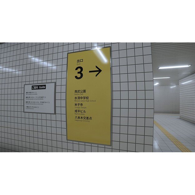 The Exit 8 - Platform 8 (Import)

  - Nintendo Switch