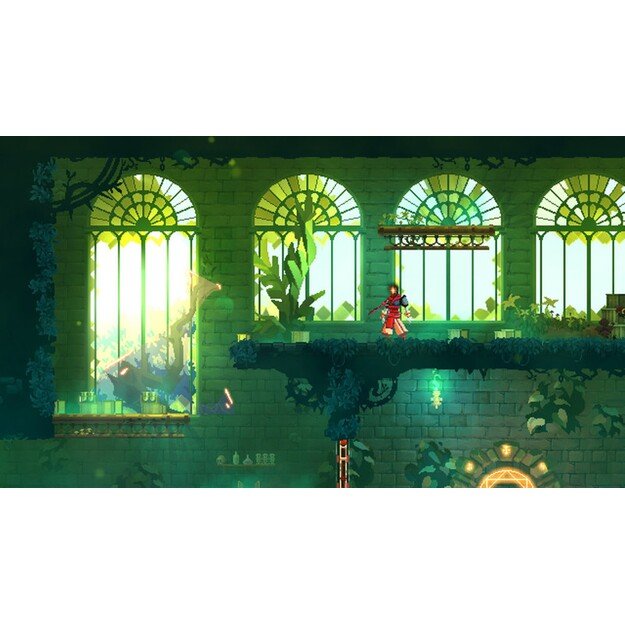 Dead Cells - Return to Castlevania Edition
      
        - Nintendo Switch