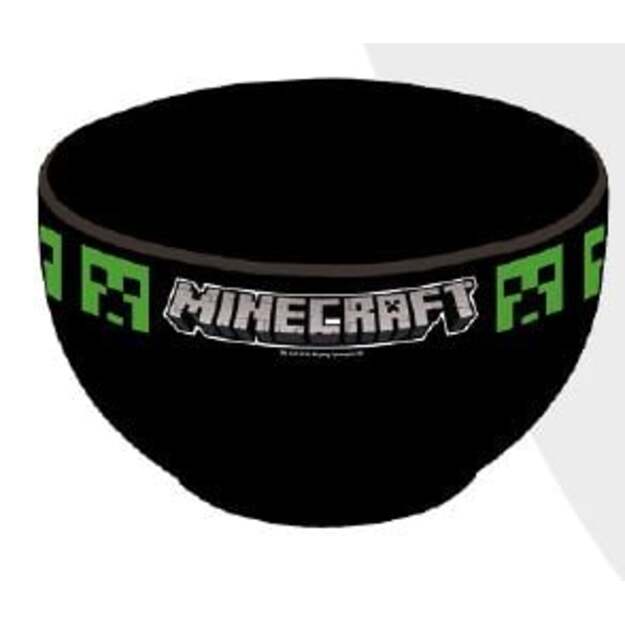 Minecraft - Bowl (446)