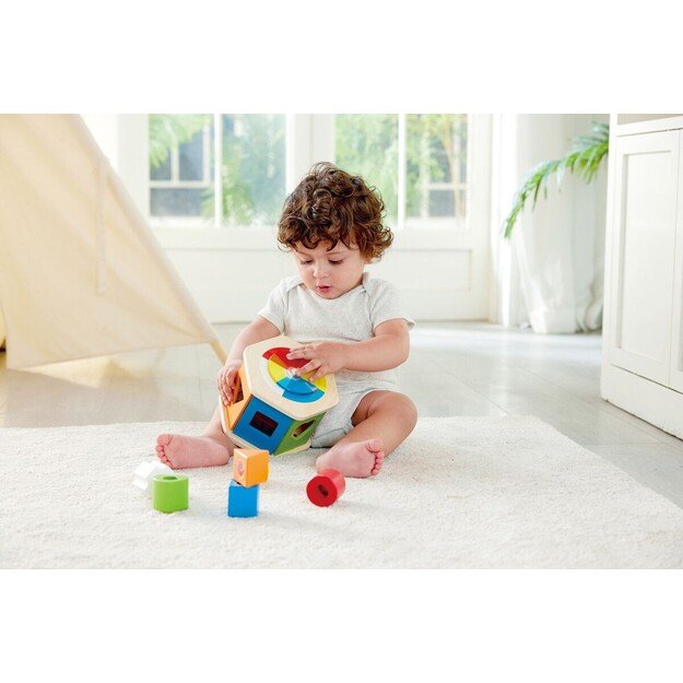 Hape Color Matching And Shape Sorting Box (87-0516)