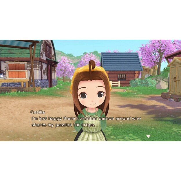 Story of Seasons: A Wonderful Life
      
        - Nintendo Switch