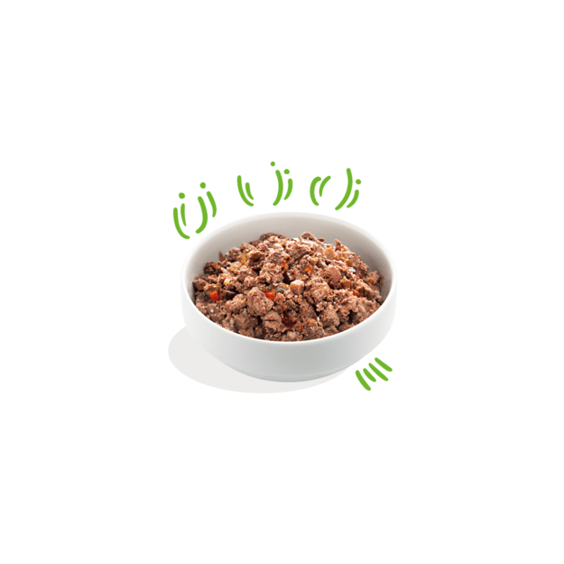 Edgard Cooper - Lamb & Beef Adult Wet food 400gr - (542503948535) 1