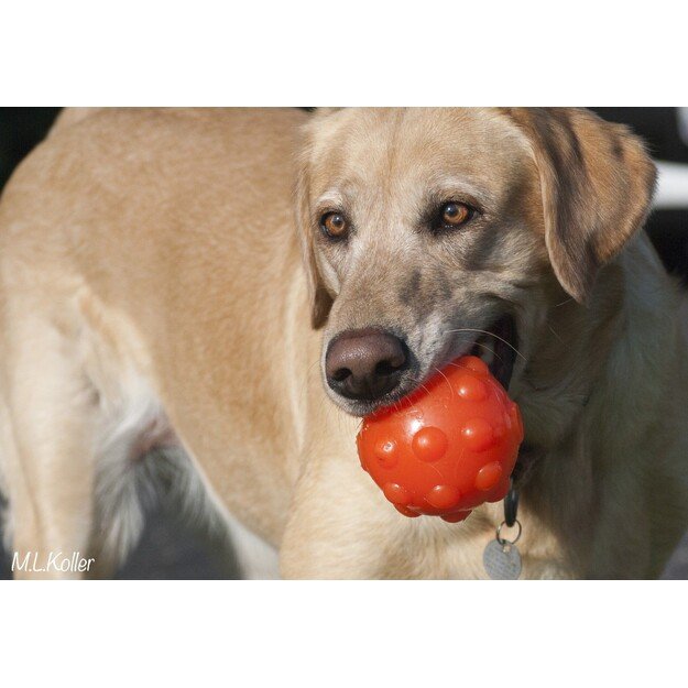 Jolly Pets- Jumper Ball Orange 10cm - (JOLL080N)