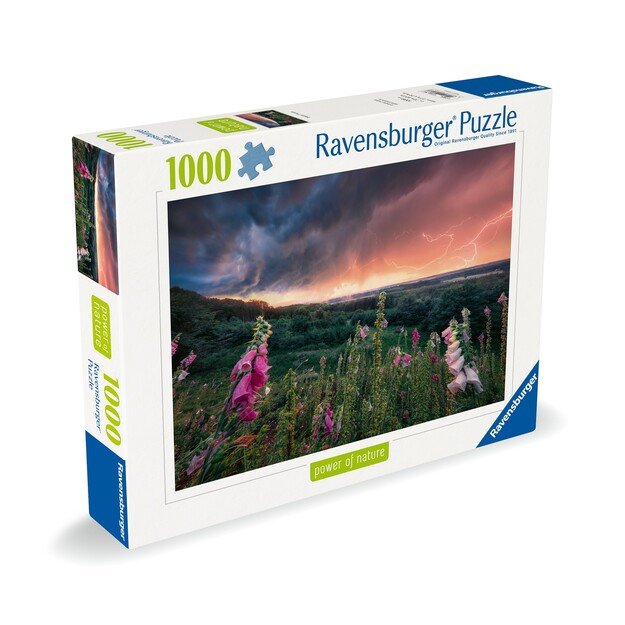 Ravensburger - Puzzle Dreamy Thunder 1000p (12000793)