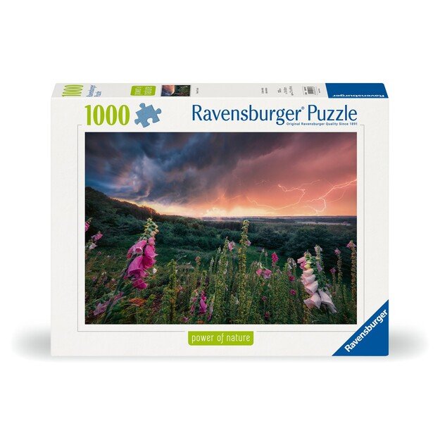 Ravensburger - Puzzle Dreamy Thunder 1000p (12000793)