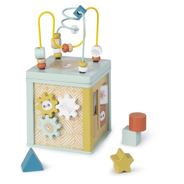 SARO - Activity cube (SAO3345)