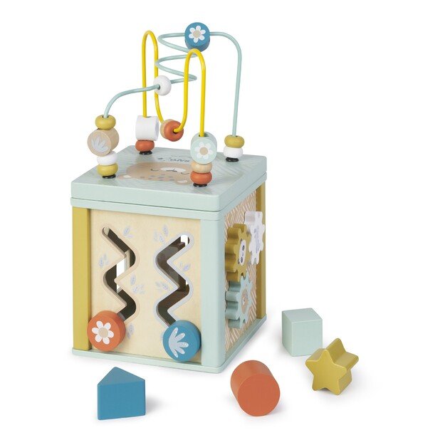 SARO - Activity cube (SAO3345)