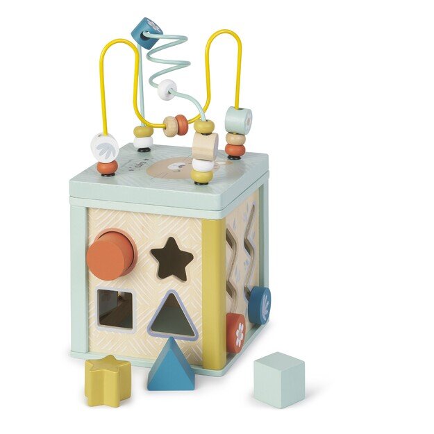 SARO - Activity cube (SAO3345)