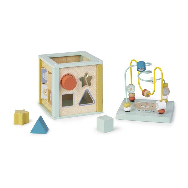 SARO - Activity cube (SAO3345)