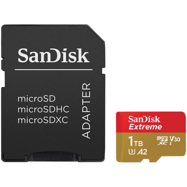 Memory Flash cards SANDISK SDSQXAV-1T00-GN6MA