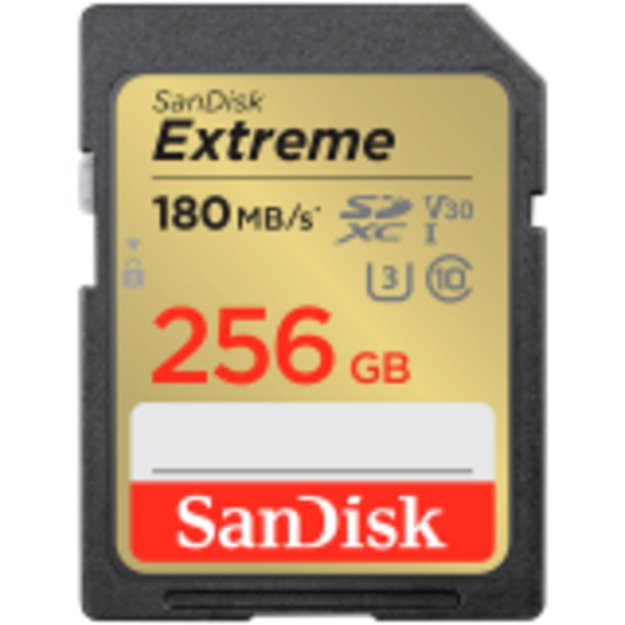 Memory Flash cards SANDISK SDSDXVV-256G-GNCIN