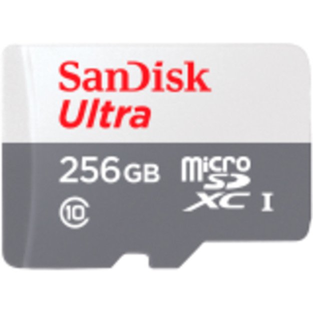 Memory Flash cards SANDISK SDSQUNR-256G-GN3MN