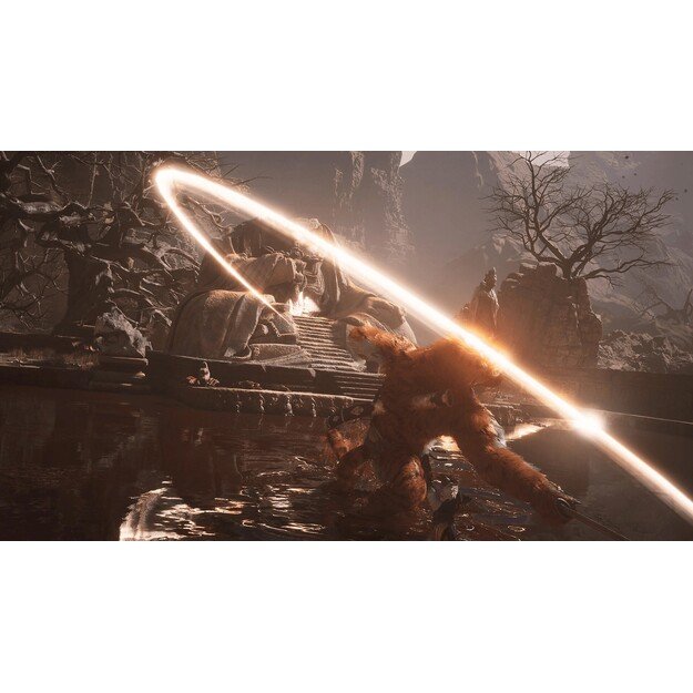 Black Myth: Wukong

  - PlayStation 5