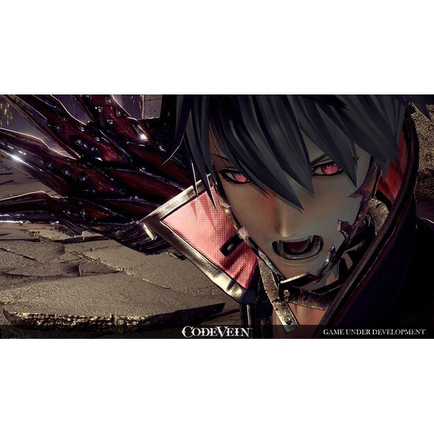 Code Vein
      
        - PlayStation 4