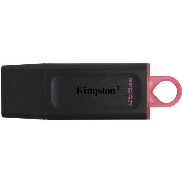 Memory USB flash KINGSTON DTX/256GB 1
