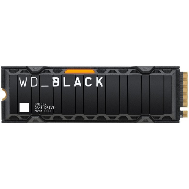 SSD Client WESTERN DIGITAL WDS100T2XHE-00BCA0 1