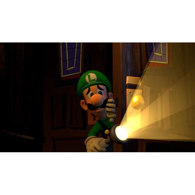 Luigi's Mansion 2 HD
      
        - Nintendo Switch