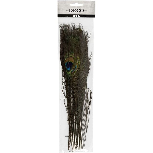 DIY Kit - Peacock feathers 10pc (51810)