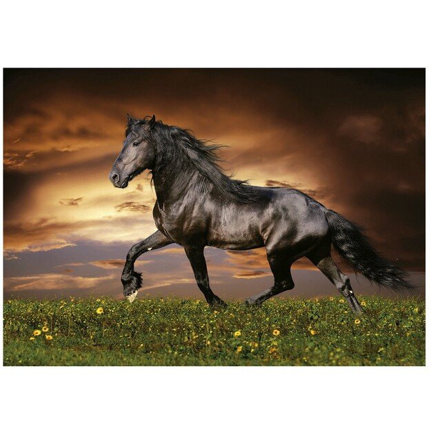 Educa - 1000 pcs - Trotting Horse Puzzle (80-19555)