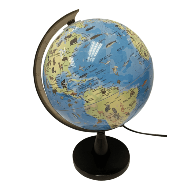 SCIENCE - Globe with animals and light 20 cm (TY6190)