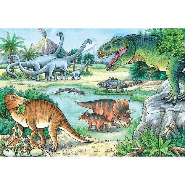 Ravensburger - Dinosaurs Of Land And Sea 2x24p - 05128