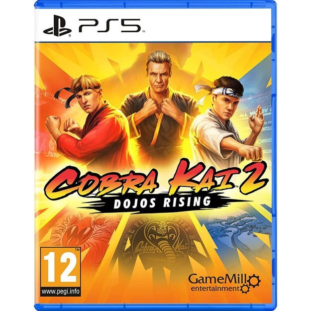 Cobra Kai 2: Dojos Rising
      
        - PlayStation 5