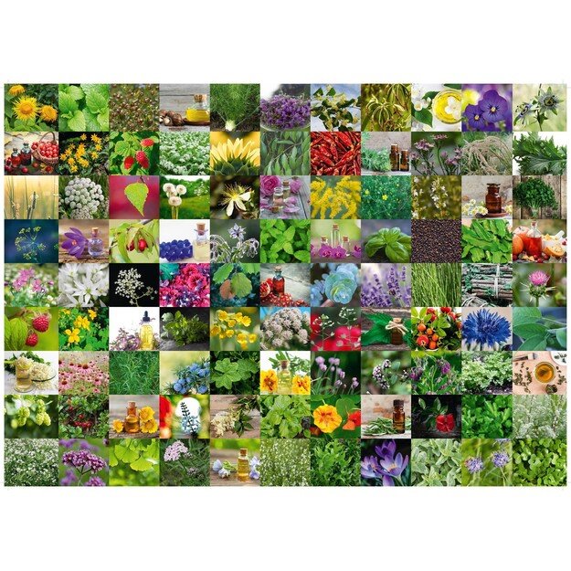 Ravensburger - 99 Herbs And Spices 1000p - 15991