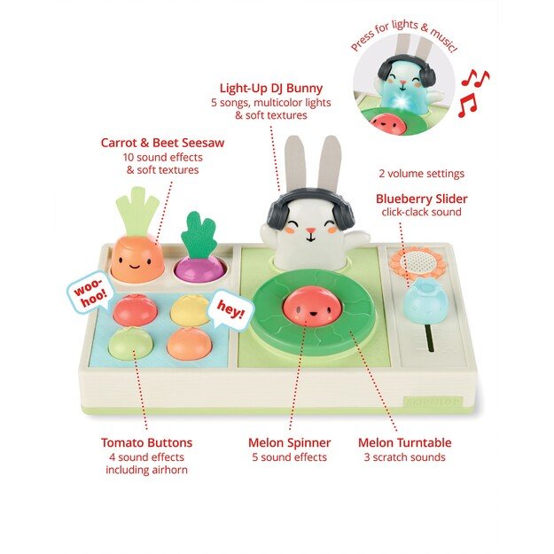 Skip Hop - Farm stand Activity toy DJ Set