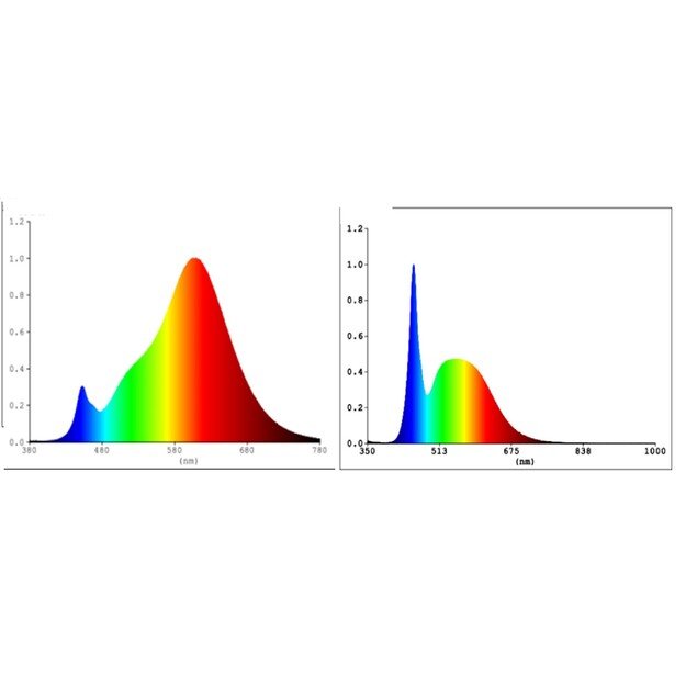 EGLO - E27 G95 - RGB + TW - Zigbee, Bluetooth