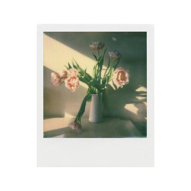 Polaroid - Color i-Type Film 16-Pack