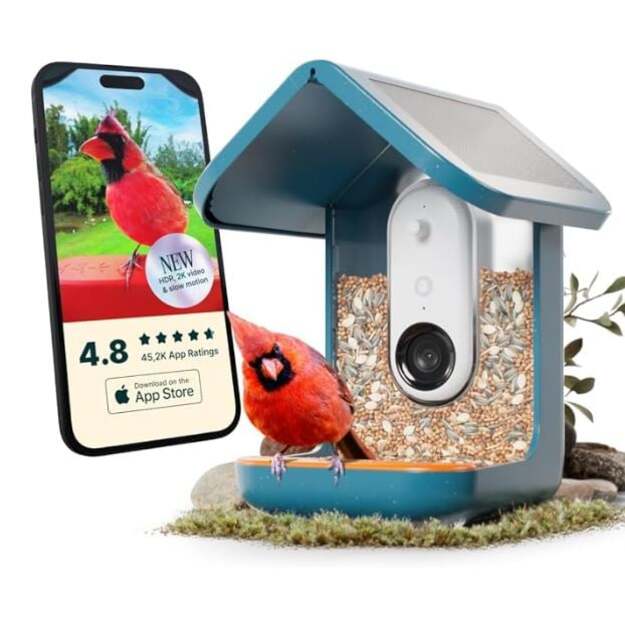 BirdBuddy - Smart Bird Feeder 2.0 Blue with Solar Panel