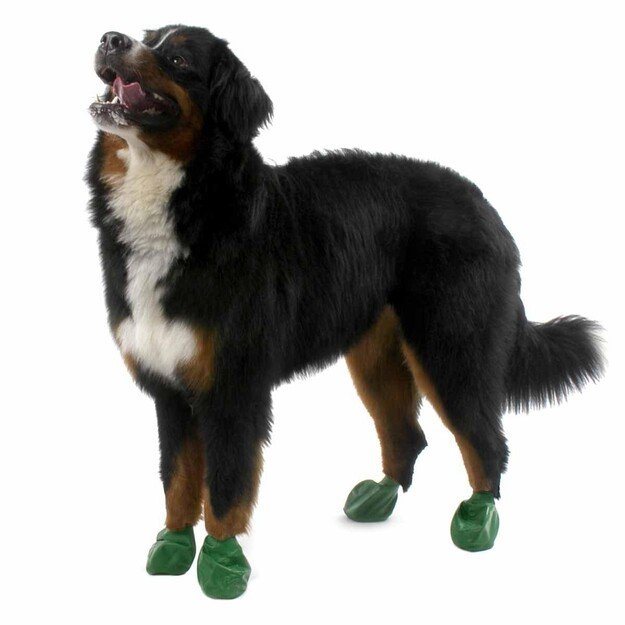 PAWZ - Dog boots Xl - Green (632.8052)