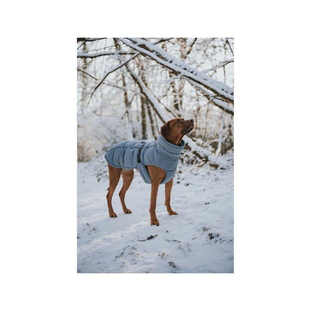 Hunter - Dogcoat Paxson Pug & Fr Bulldog 44, blue - (203523)