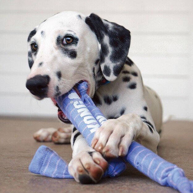 Kong - Puppy Signature Crunch Rope Double - Purple