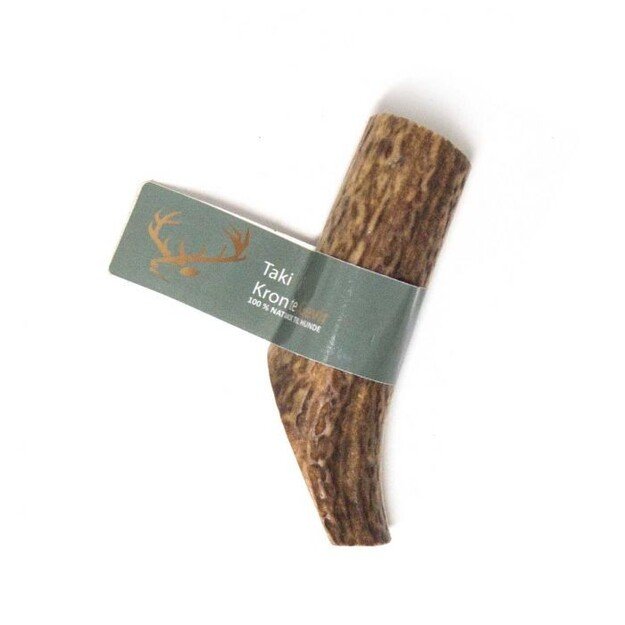 Taki - Deer antler S 10 cm  - (01-605)