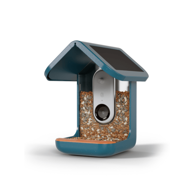 BirdBuddy - Smart Bird Feeder Blue with Solar Panel - (BBG1003BAB)