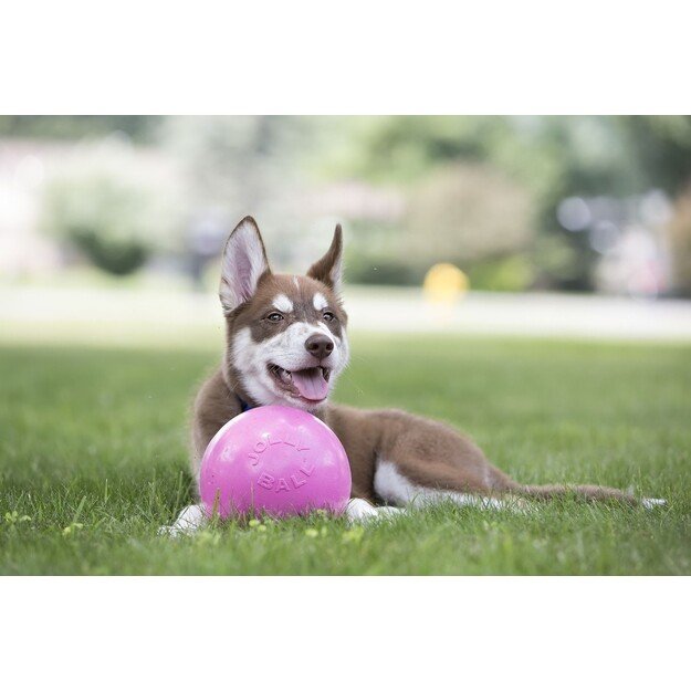 Jolly Pets - Ball Bounce-n Play 20cm Pink (Bubble Gum Smell) - (JOLL068M)