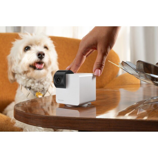 Petcube - Petcube Cam 360 - (854592007523)