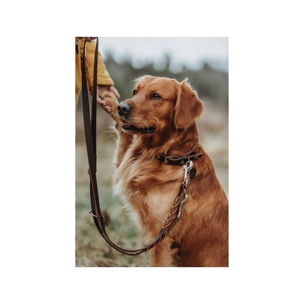 Hunter - Training leash Solid Education Cord 20/200, dark brown/orange - (69325)