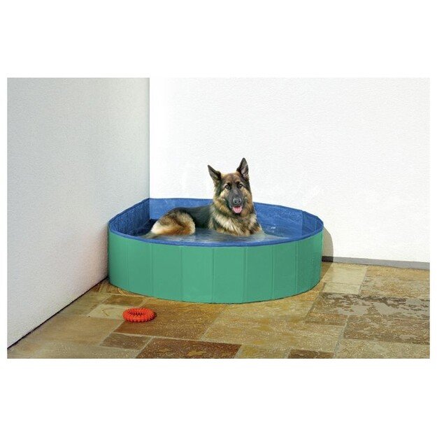 Flamingo - Doggy Splash Pool Green/Blue L 160X30CM - (540058500219)