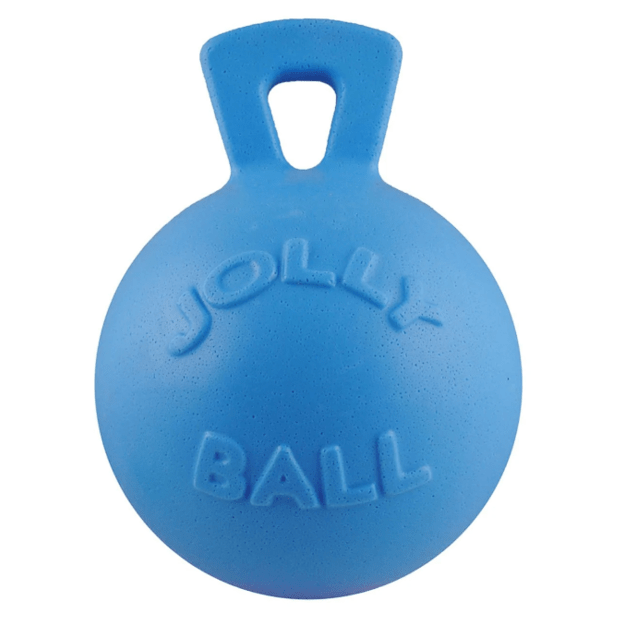 Jolly Pets - Tug-N-Toss 10cm Baby Blue (Blue Berry Smell) - (JOLL044B)
