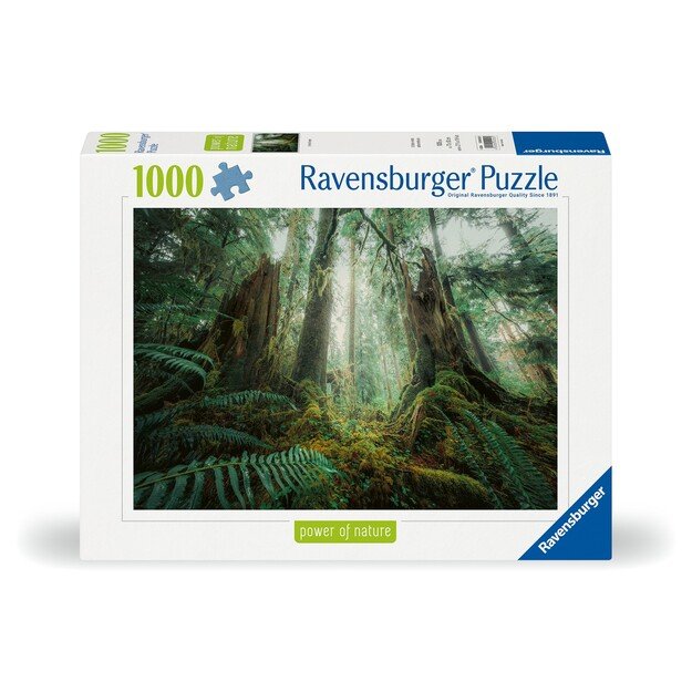 Ravensburger - Puzzle Woods 1000p (12000292)