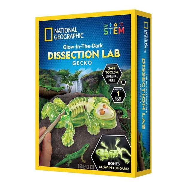 National Geographic - Gecko Dissection Lab (29-2451)