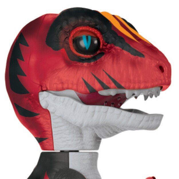 AM - UNTAMED Raptor Face off Dino (4564)