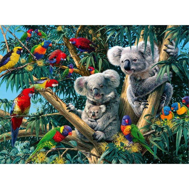 Ravensburger - Puzzle Koalas In A Tree 500p (12000206)