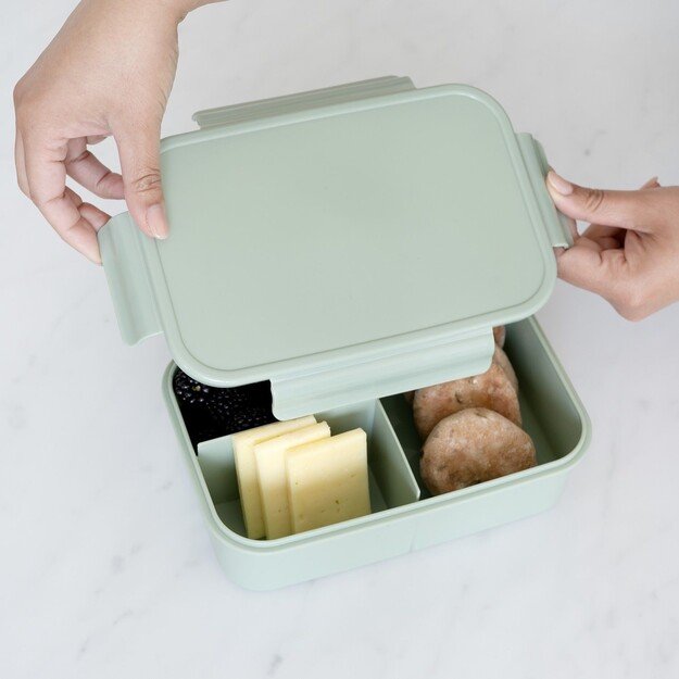 3 Sprouts - Lunch Box, Green - (IBBSGN)