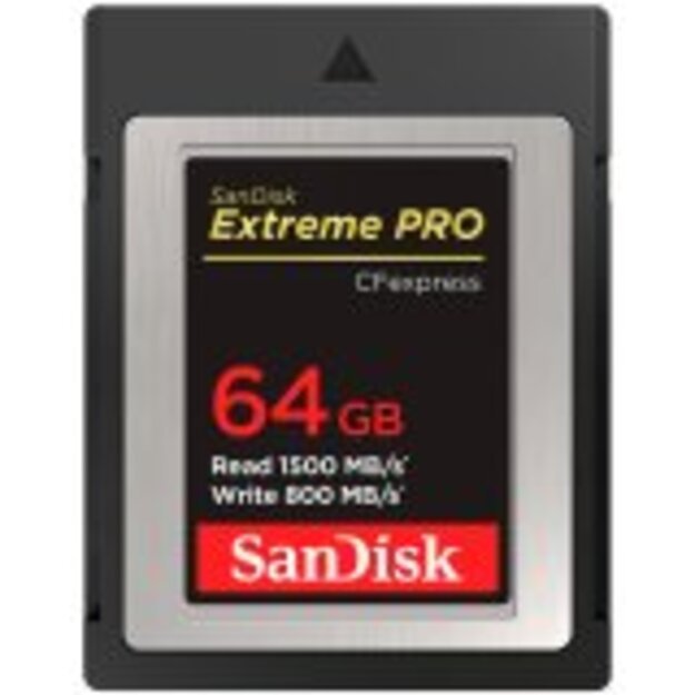 Memory Flash cards SANDISK SDCFE-064G-GN4NN